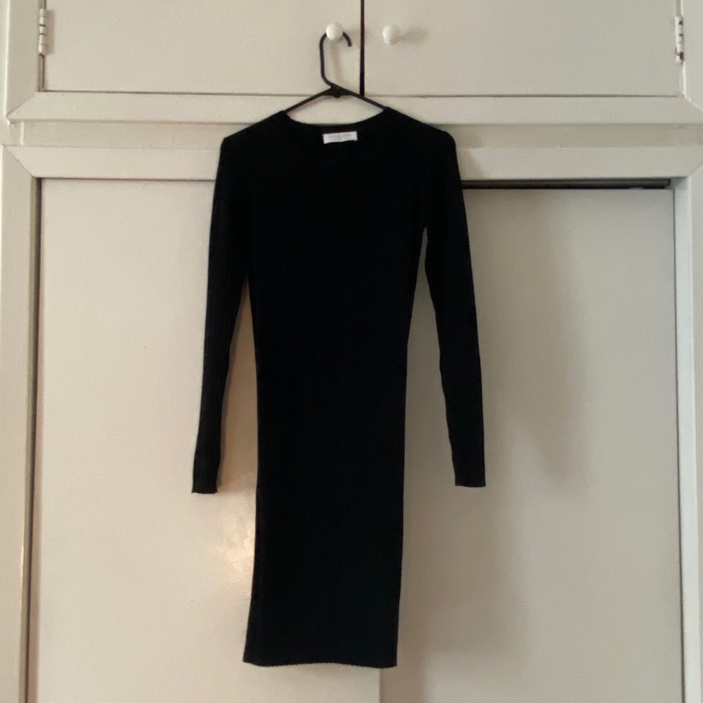 Everlane Bodycon Sweater Dress